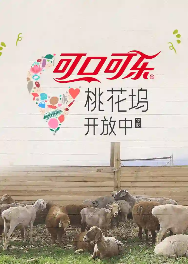 桃花坞开放中 第四季