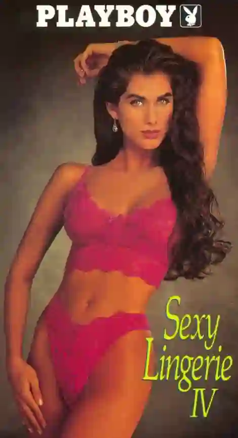 花花公子：性感内衣4