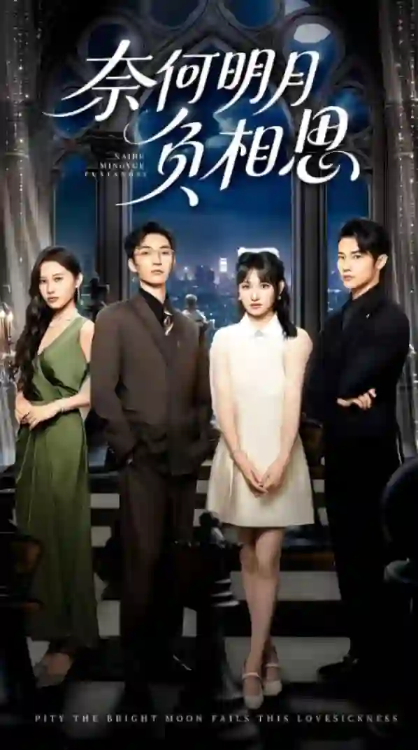 奈何明月负相思